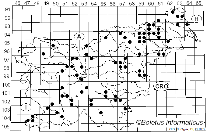 <i>Connopus acervatus</i> (Fr.) K.W. Hughes, Mather & R.H. Petersen (2010)