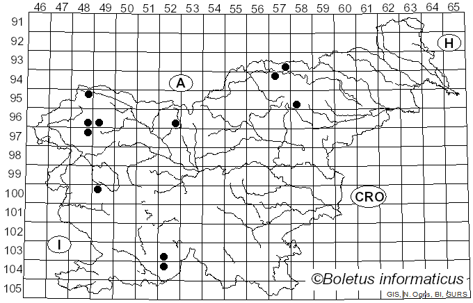 <i>Lepraria incana</i>
