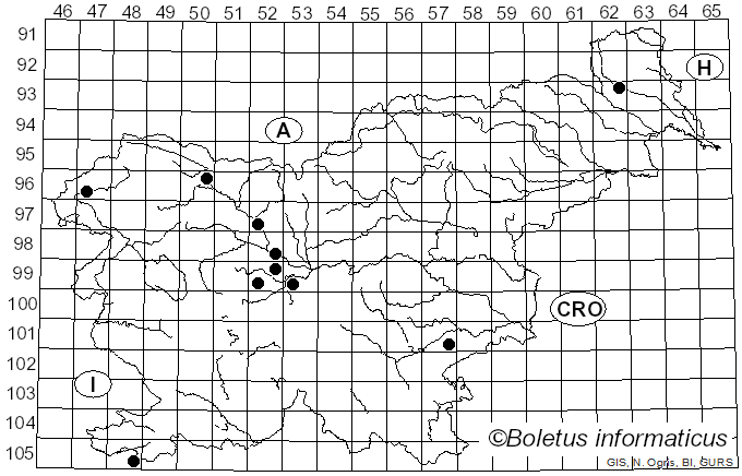 <i>Gymnosporangium sabinae</i> (Dicks.) G. Winter (1884)