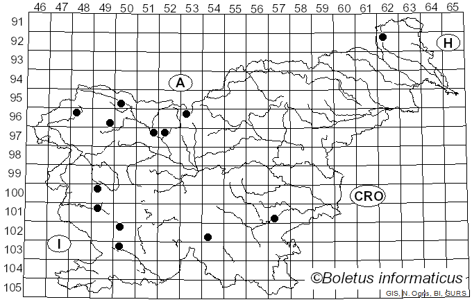 <i>Exidia thuretiana</i> (Lév.) Fr. (1874)