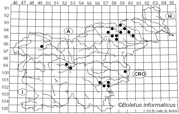 <i>Inocybe lanuginosa</i> (Bull.) P. Kumm. (1871)