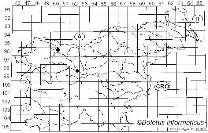 <i>Septoria rhamni-catharticae</i> Ces. (1880)