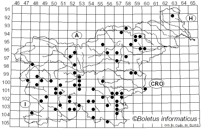 <i>Ganoderma carnosum</i> Pat. (1889)