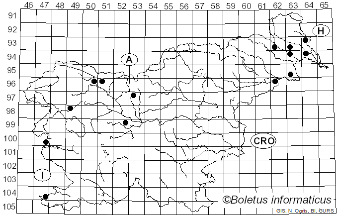<i>Hysterium</i> Pers. (1797)