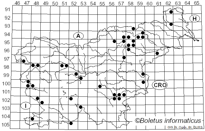 <i>Tricholoma saponaceum</i> var. <i>squamosum</i> (Cooke) Rea (1922)