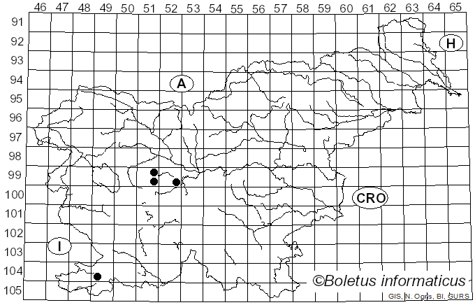 <i>Antrodia sinuosa</i> (Fr.) P. Karst. (1881)