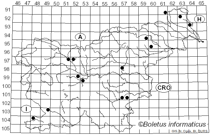 <i>Pseudomerulius aureus</i> (Fr.) Jülich (1979)