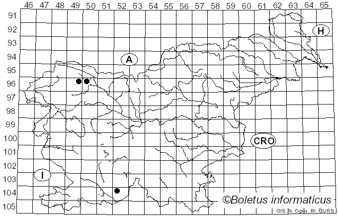 <i>Psathyrella fatua</i> (Fr.) P. Kumm. (1949)