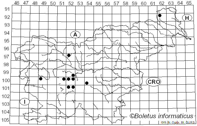 <i>Helophilus pendulus</i> Linnaeus (1758)