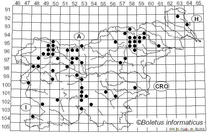 <i>Aureonarius limonius</i> (Fr.) Niskanen & Liimat. (2022)