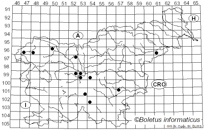 <i>Trichoglossum hirsutum</i> (Pers.) Boud. (1907)