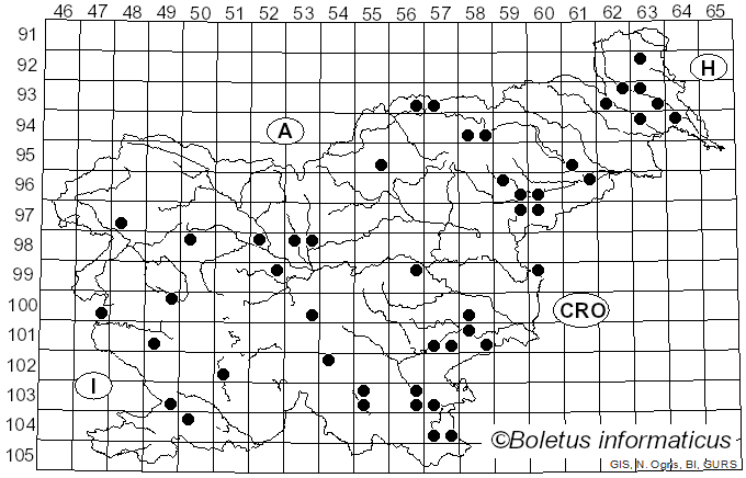 <i>Erysiphe alphitoides</i> (Griffon & Maubl.) U. Braun & S. Takam. (2000)