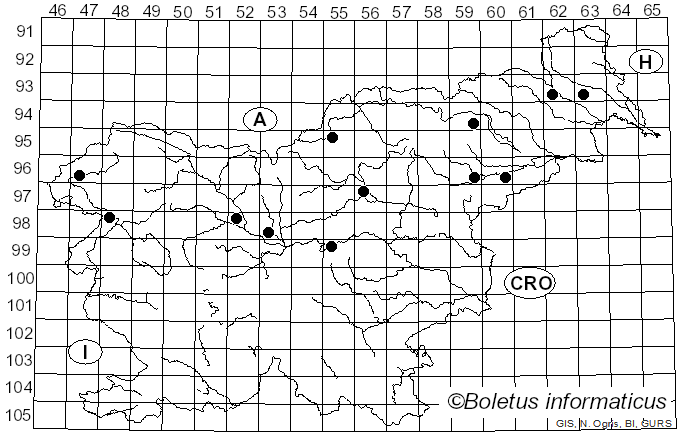 <i>Cyanoboletus</i> Gelardi, Vizzini & Simonini (2014)