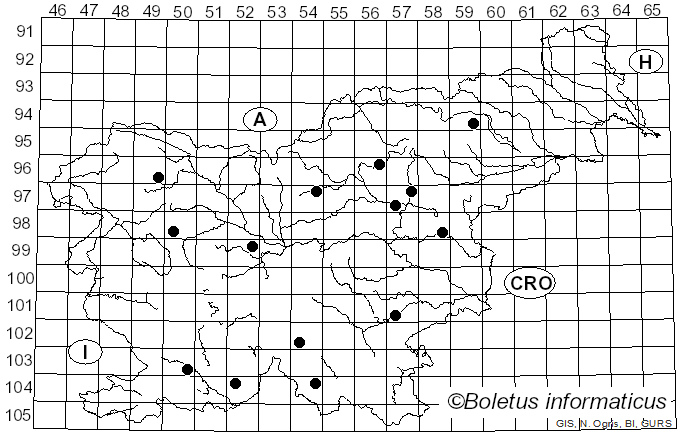 <i>Ramaria rufescens</i> (Fr.) Corner (1950)
