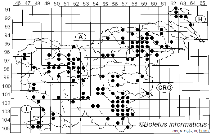 <i>Lactifluus</i> (Pers.) Roussel (1806)