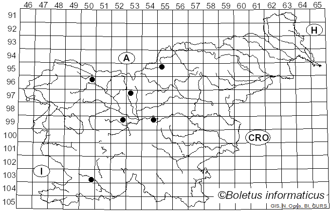 <i>Septoria convolvuli</i> Desm. (1842)