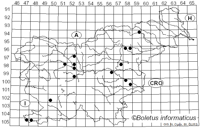 <i>Stigmella microtheriella</i> Stainton (1854)