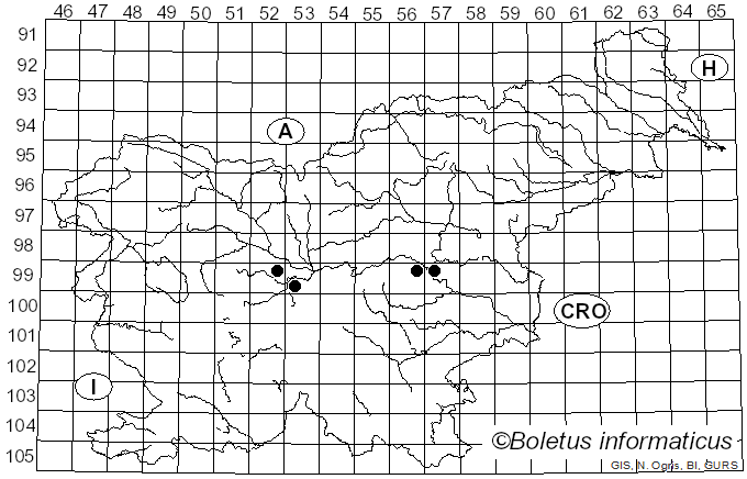 <i>Septoria castaneicola</i> Desm. (1847)