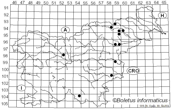 <i>Inocybe fibrosoides</i> Kühner (1933)