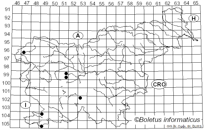 <i>Coprinellus xanthothrix</i> (Romagn.) Vilgalys, Hopple & Jacq. Johnson (2001)