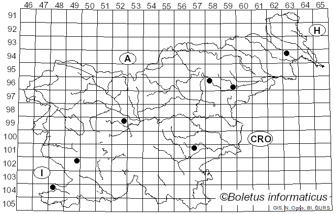 <i>Aceria macrochela</i> subsp. <i>macrochela</i> Nal.