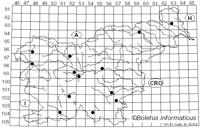 <i>Ramaria neoformosa</i> R.H. Petersen (1976)