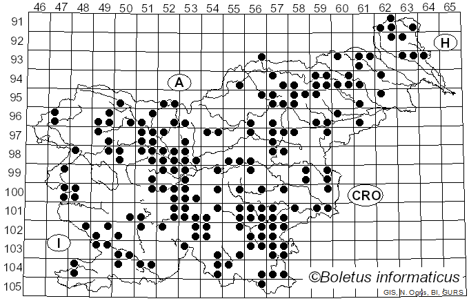 <i>Russula delica</i> Fr. (1838)