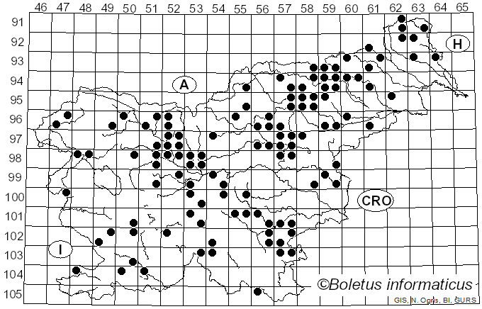 <i>Laccaria proxima</i> (Boud.) Pat. (1887)