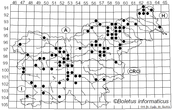 <i>Tricholoma pessundatum</i> (Fr.) Quél. (1821)
