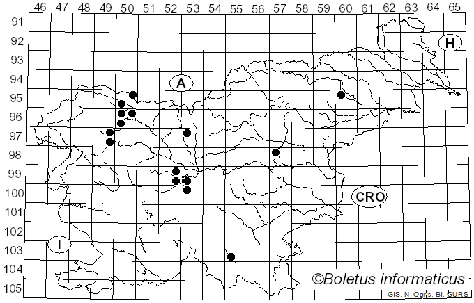 <i>Ovularia</i> Sacc. (1880)