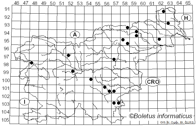 <i>Cortinarius arvinaceus</i> Fr. (1838)