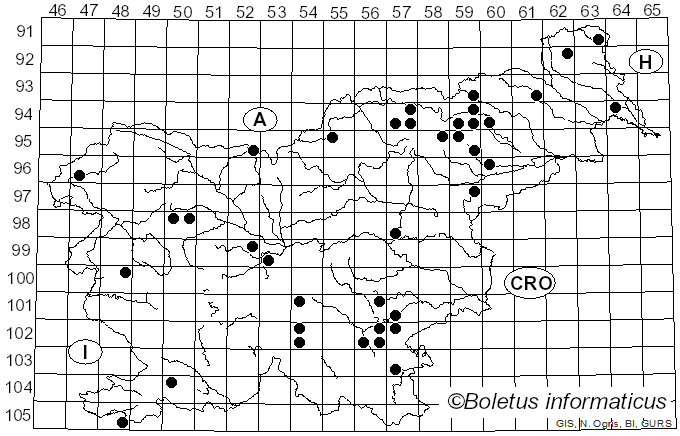 <i>Hypomyces chrysospermus</i> Tul. & C. Tul. (1860)