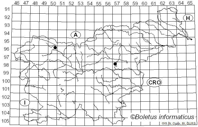 <i>Phoma complanata</i> (Tode) Desm. (1881)