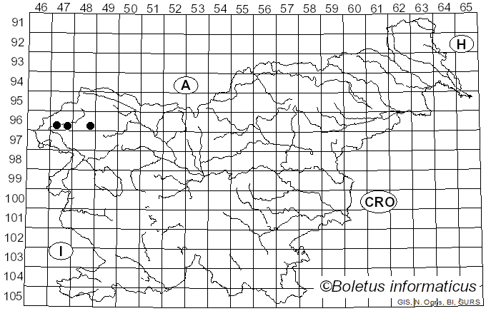 <i>Microbotryum dianthorum</i> (Liro) H. Scholz & I. Scholz (2005)