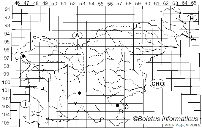 <i>Calonarius suaveolens</i> (Bataille & Joachim) Niskanen & Liimat. (2022)