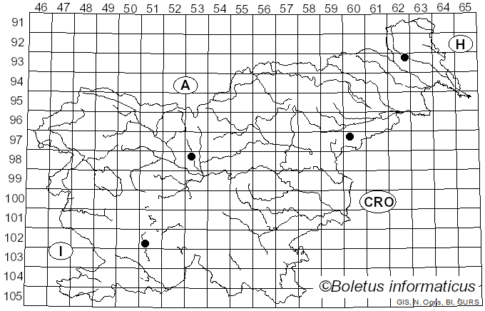 <i>Argyresthia</i>