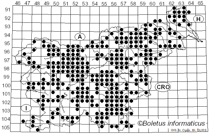 <i>Fomes fomentarius</i> (L.) J.J. Kickx (1867)