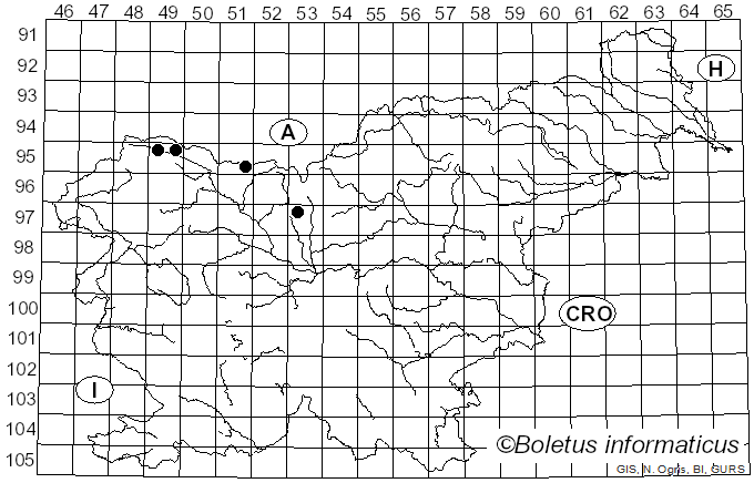 <i>Mycosphaerella stemmatea</i> (Fr.) Romell (1890)