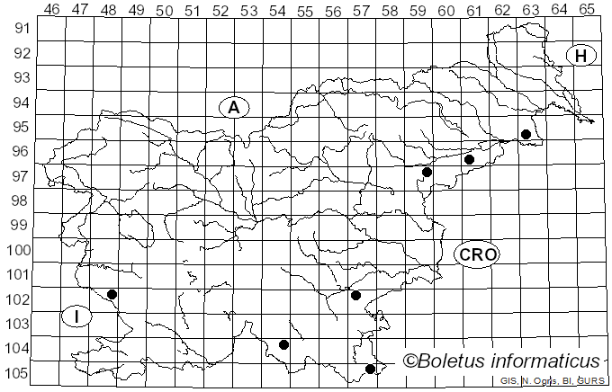 <i>Inonotus nidus-pici</i> Pilát (1953)