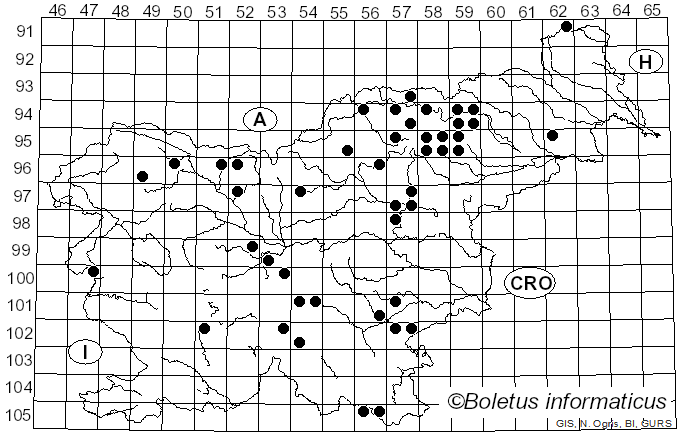 <i>Lactarius trivialis</i> (Fr.) Fr. (1838)