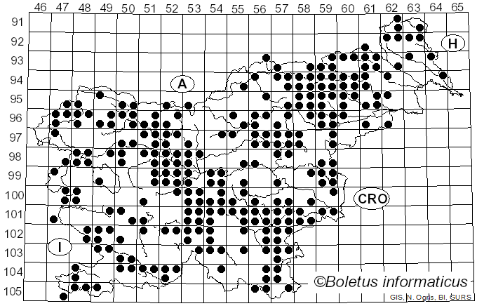 <i>Hebeloma</i> (Fr.) P. Kumm. (1871)