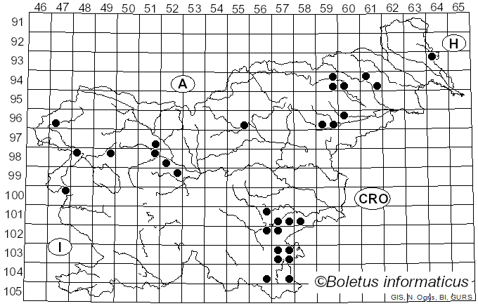 <i>Rheubarbariboletus</i> Vizzini, Simonini & Gelardi (2015)