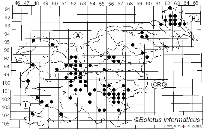 <i>Leccinellum griseum</i> (Quél.) Bresinsky & Manfr. Binder (2003)