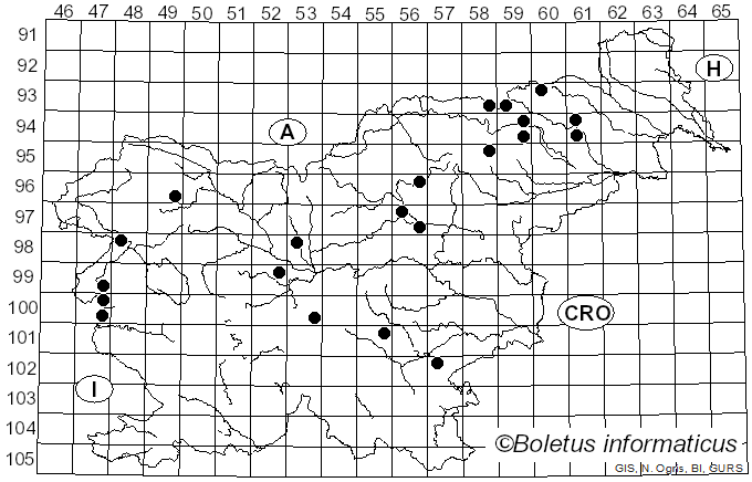 <i>Inocybe cincinnata</i> (Fr.) Quél. (1874)