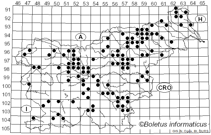 <i>Laccaria proxima</i> (Boud.) Pat. (1887)