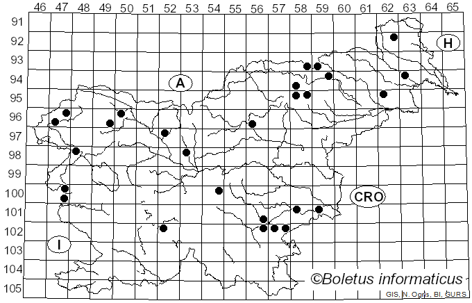 <i>Pholiota lubrica</i> (Pers.) Singer (1951)