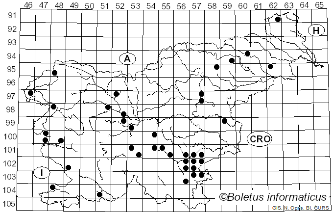 <i>Lactarius fulvissimus</i> Romagn. (1954)