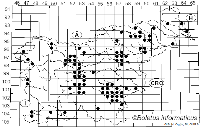<i>Agrocybe praecox</i> (Pers.) Fayod (1889)