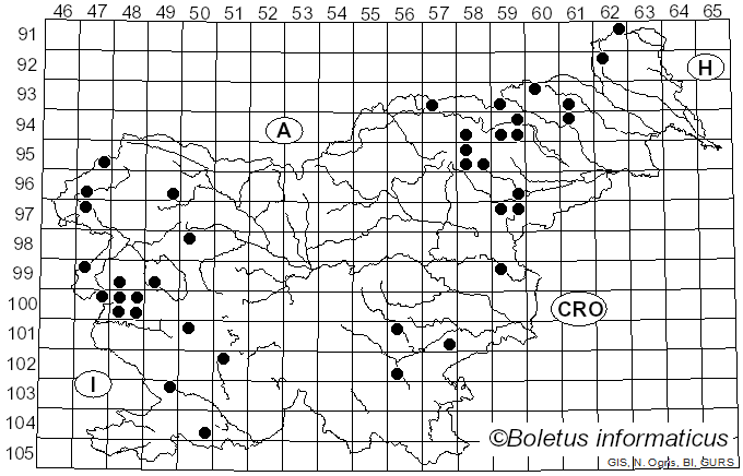 <i>Thaxterogaster</i> Singer (1951)