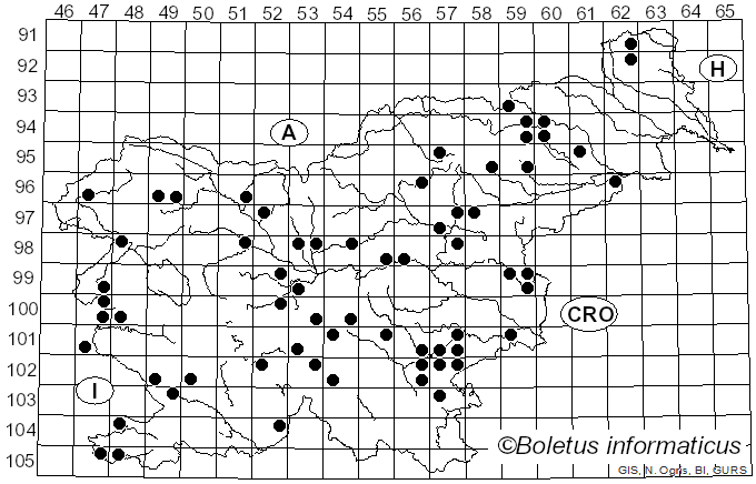 <i>Tricholoma orirubens</i> Quél. (1873)